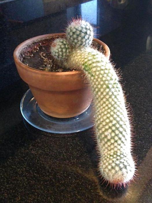 25P Pics that prove you have a dirty mind