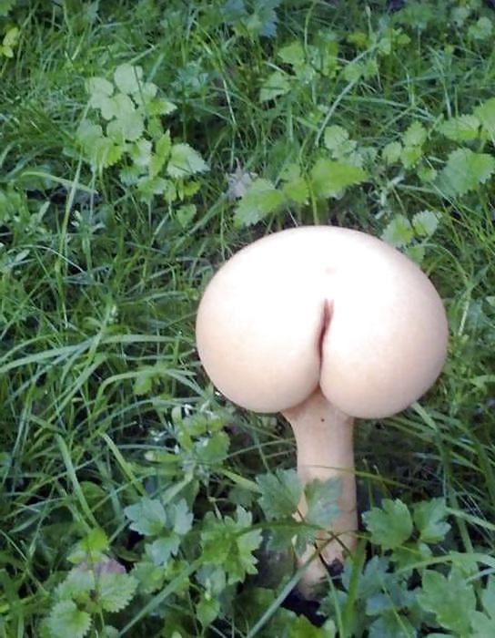 25P Pics that prove you have a dirty mind