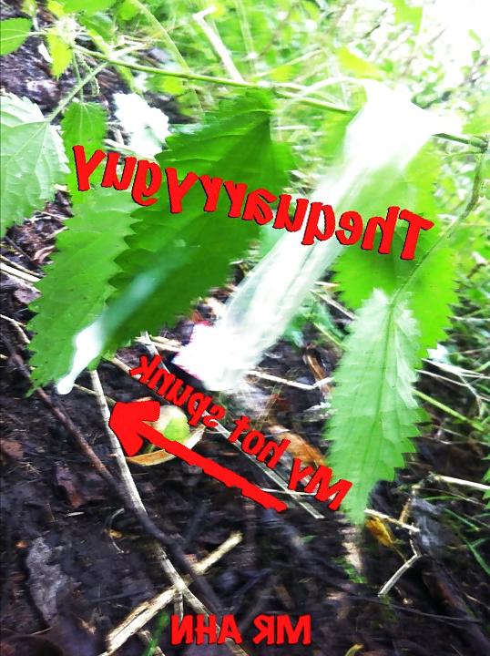 5P Forest fun