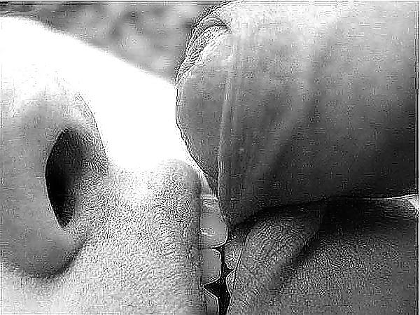 11P Sensual Pictures