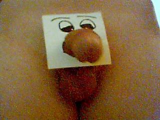 5P Dick elephant  :D