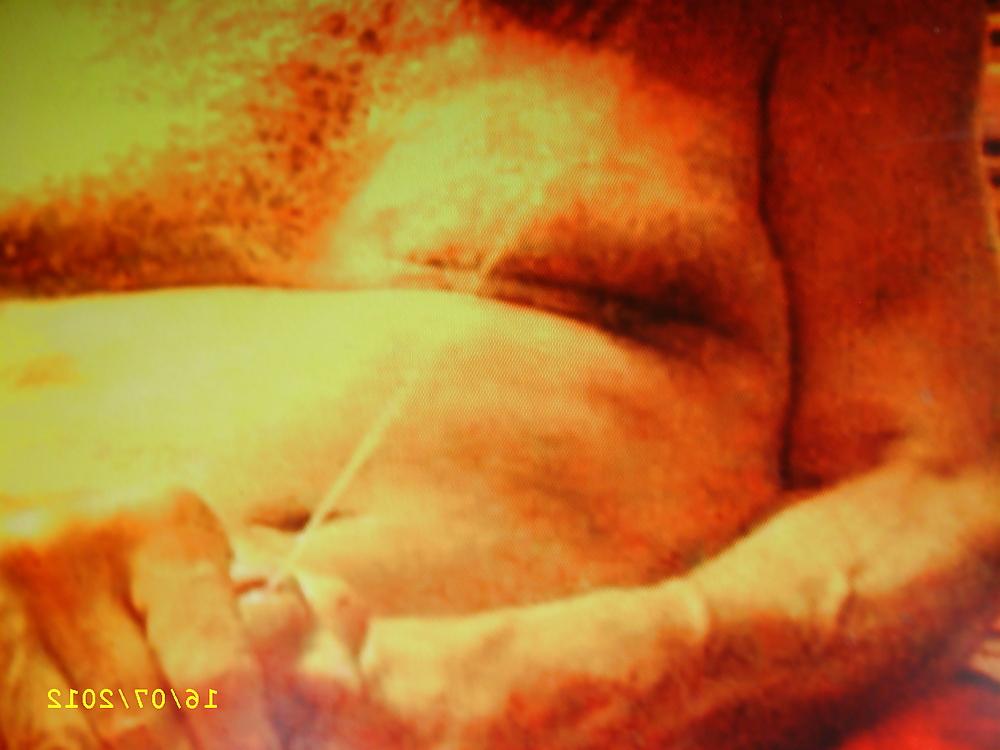 8P Still photos of my cum shots