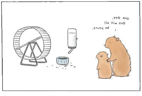 25P The Secret Lives of Little Hamsters!