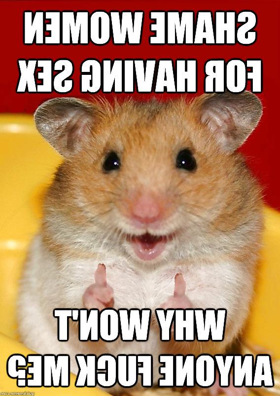 25P The Secret Lives of Little Hamsters!