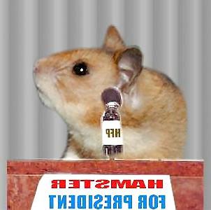 25P The Secret Lives of Little Hamsters!