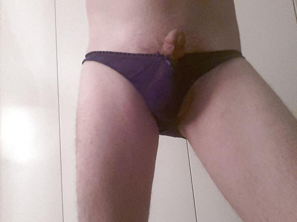 12P Sexy Purple Cotton Panties
