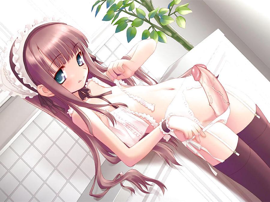25P My Shemale Hentai Collection 17