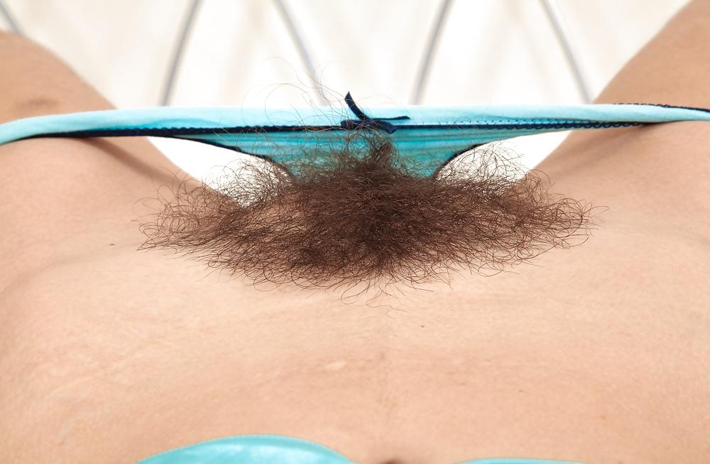 25P From the Moshe Files: Show Us Your Hairy Beaver