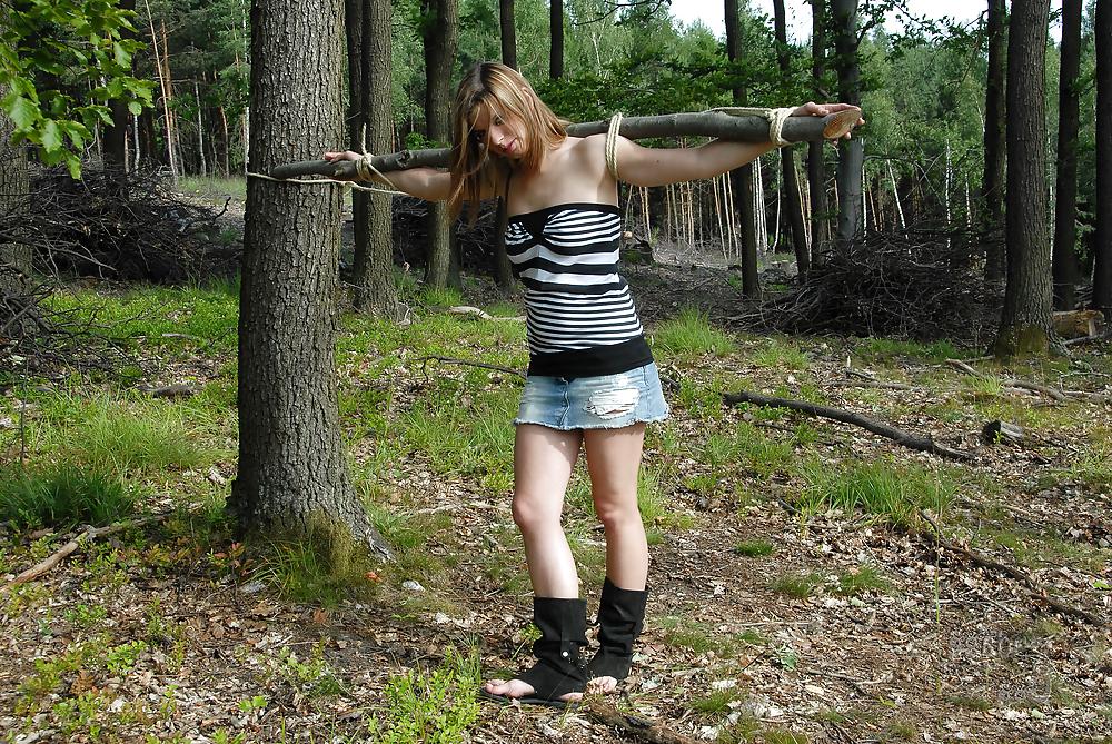 11P Tied Up In The Forest