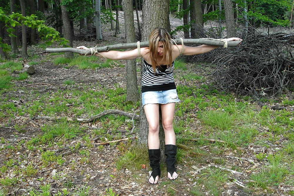 11P Tied Up In The Forest