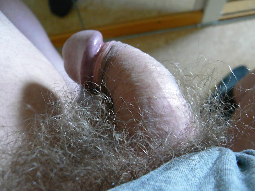 25P Old History Pics Of My Little Hairy Dick!