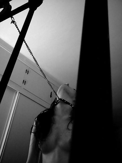 25P TB-collection pain or lust III