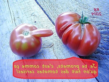 25P French Captions 21 RB