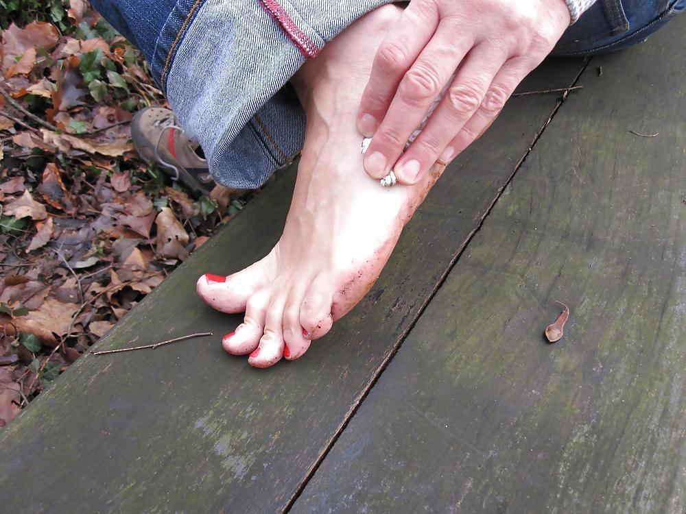 20P In the forest