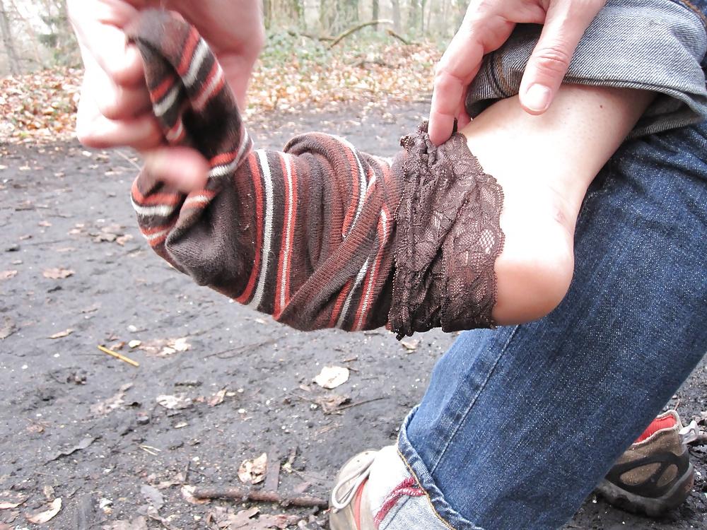 20P In the forest