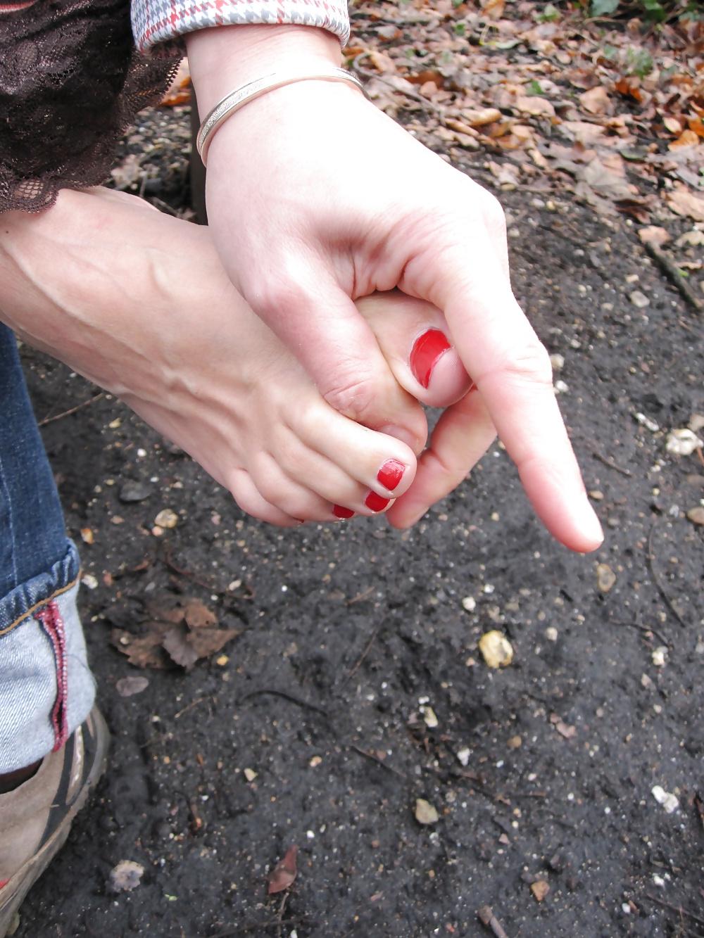 20P In the forest