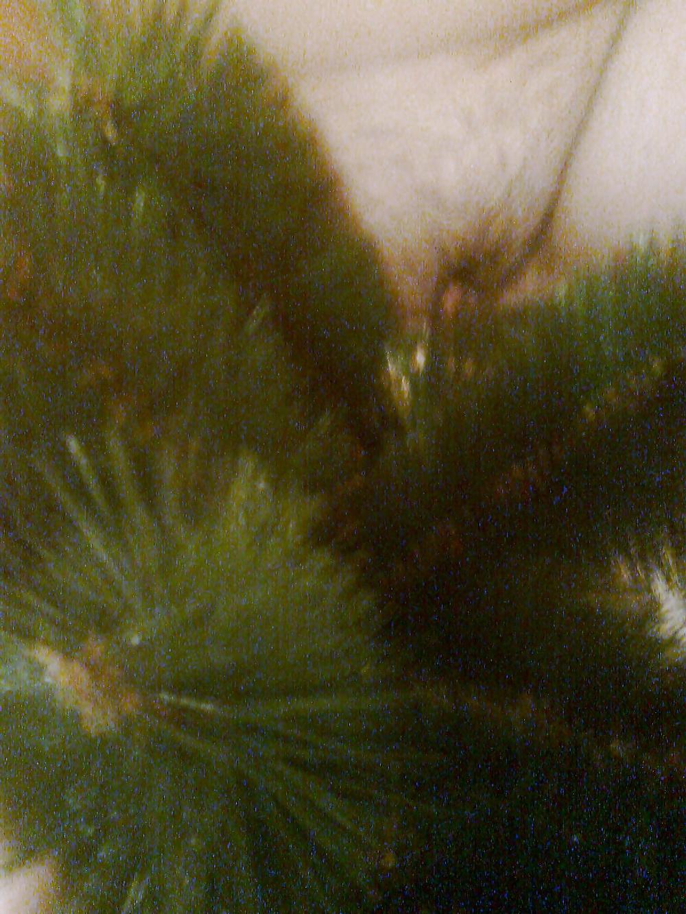 11P Novogodisnje serbisch