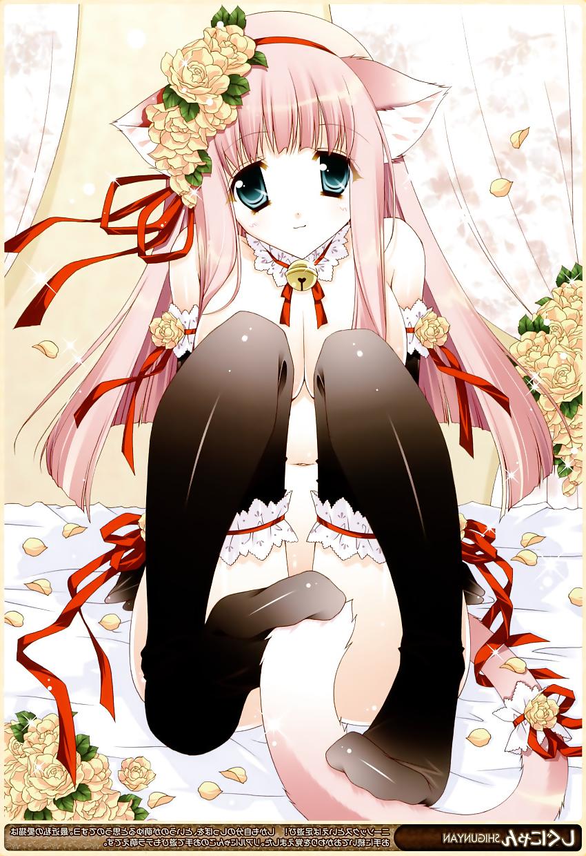25P My Hentai Collection #09