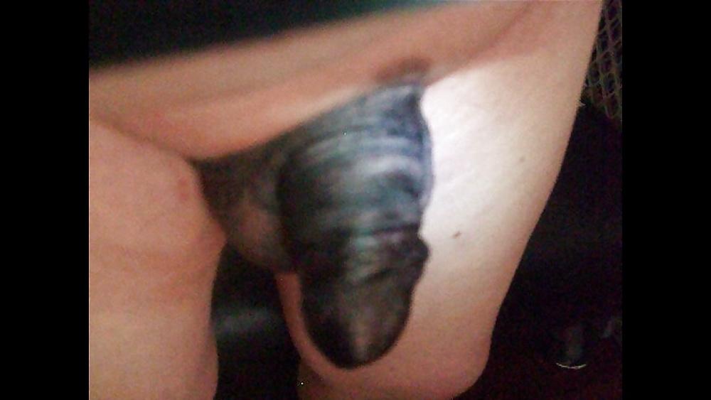 19P Little White Cock Colored Black