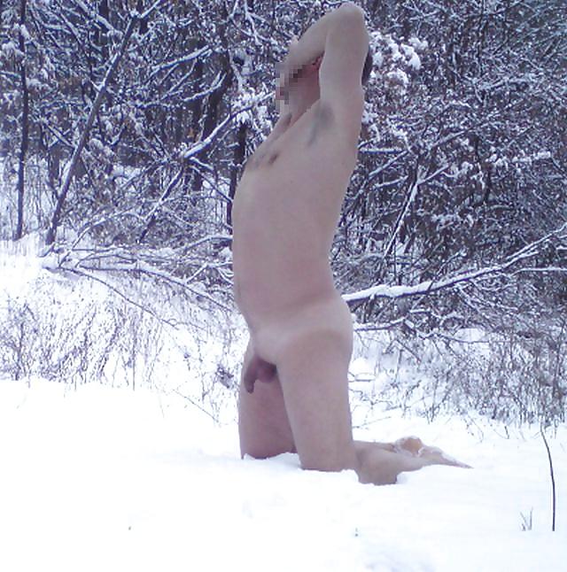 13P Winter forest