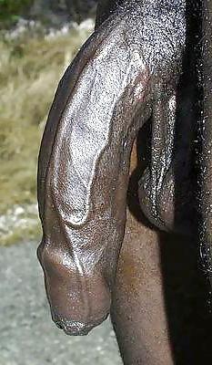 13P Big beautiful dick 2