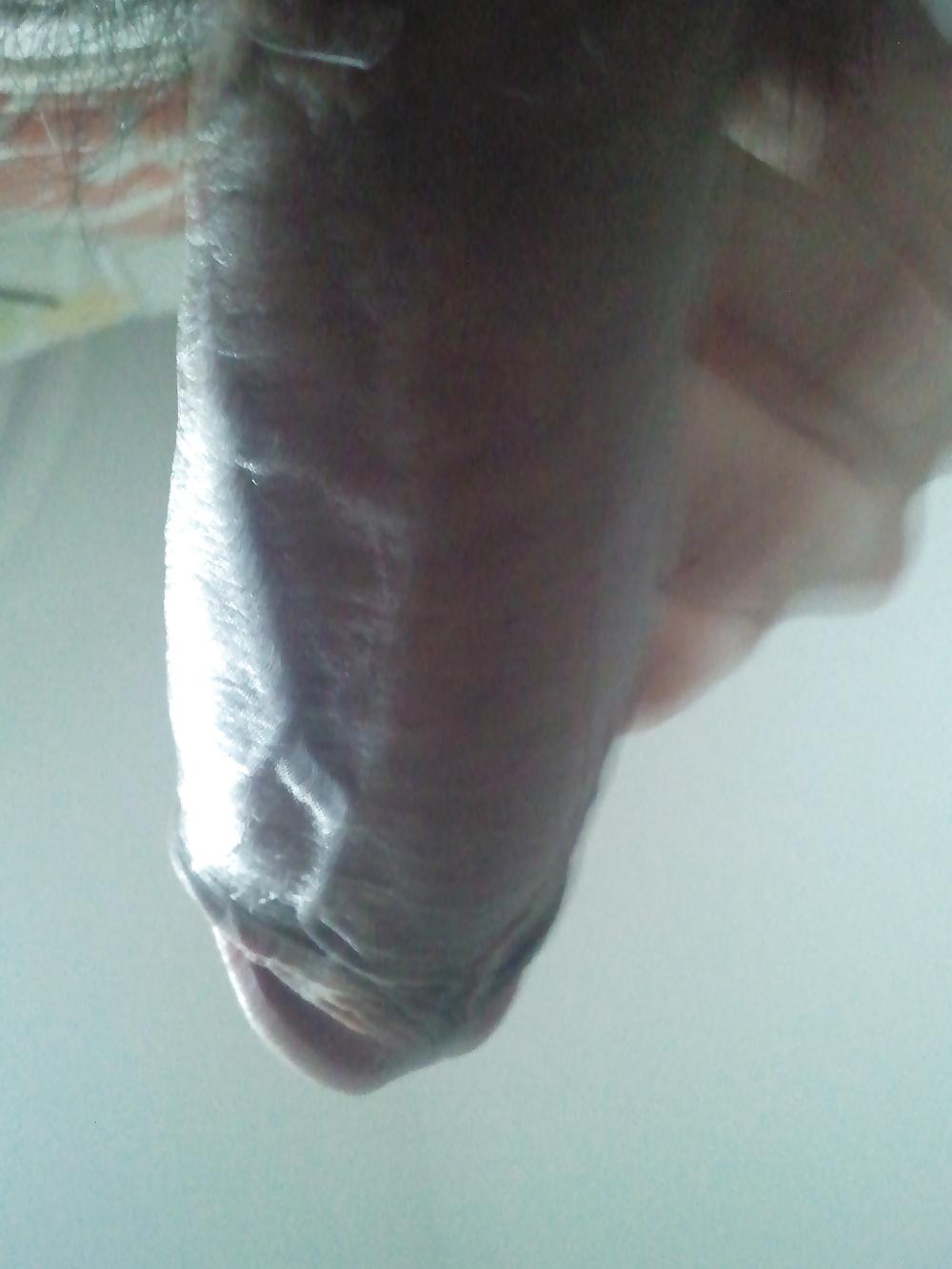 13P Need some ass to fuck