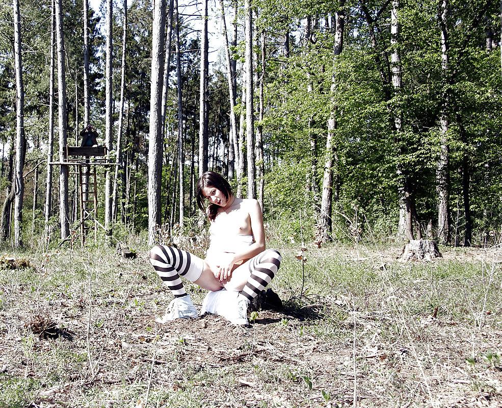 12P Forest sex with old and young