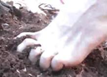 25P Nice dirty Feet (from the web)