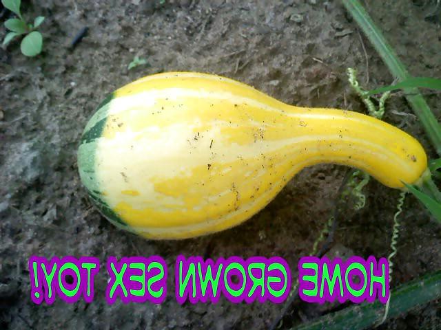 5P SEX TOYS!!!
