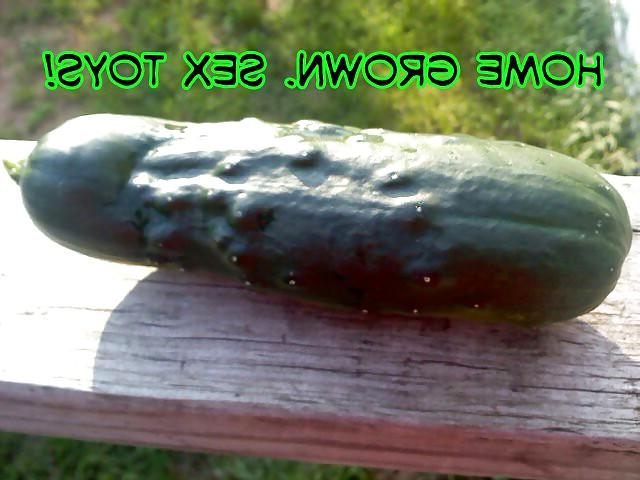5P SEX TOYS!!!