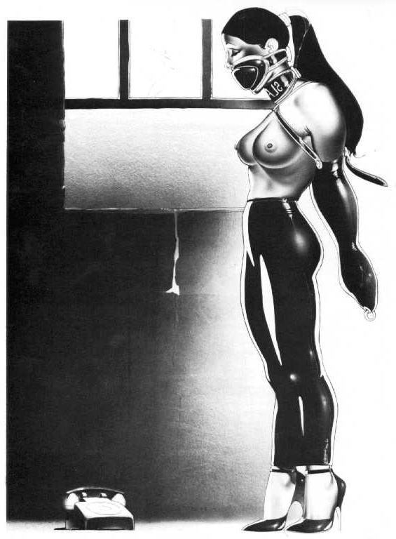 12P beautiful helpless women tied with rope artwork