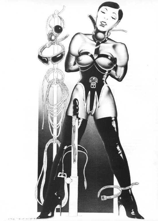 12P beautiful helpless women tied with rope artwork