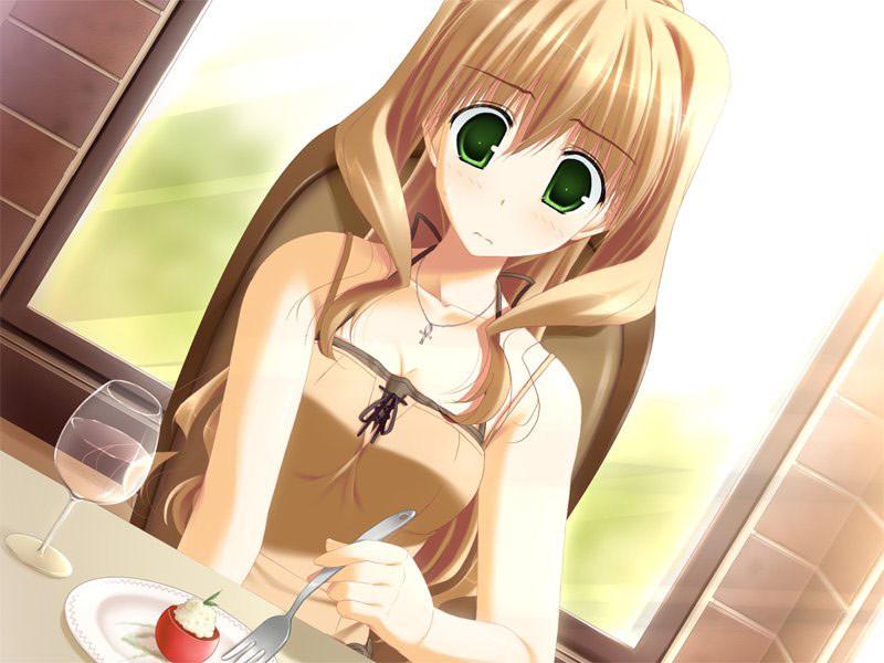 20P Swimsuit models by day and submissive hentai waitress by night