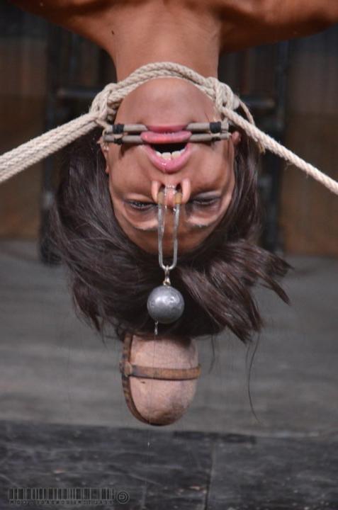 15P She forces it past the tight ring of muscles at the entrance to 