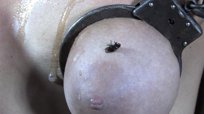 15P Trapped in the floor, first Sister Dee gets the ring gag, then she gets Mr. Pogo