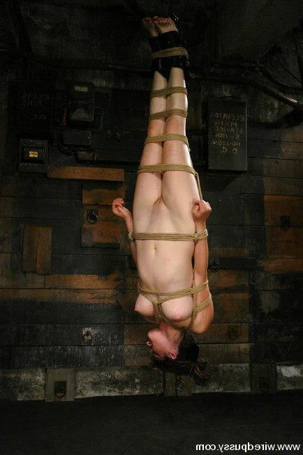 15P Good predicament bondage, forced ass licking, electro-stimulation