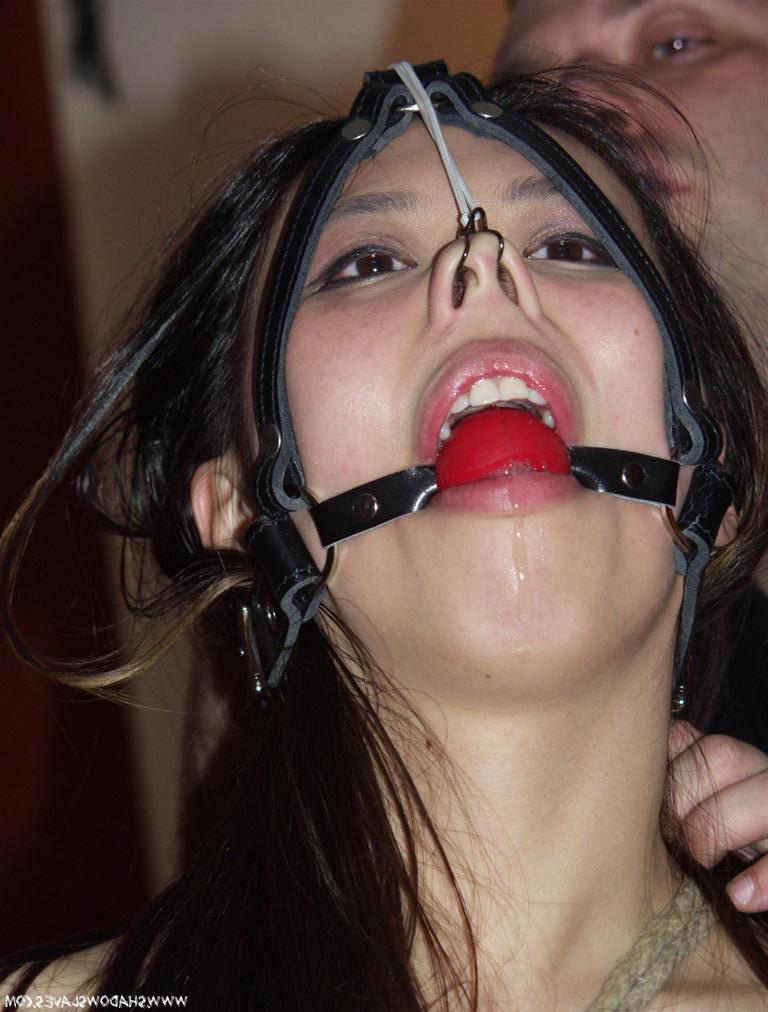 15P Oriental in nose hooks