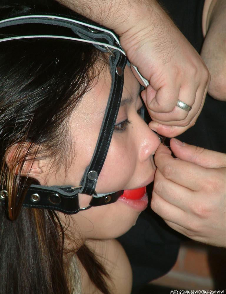 15P Oriental in nose hooks
