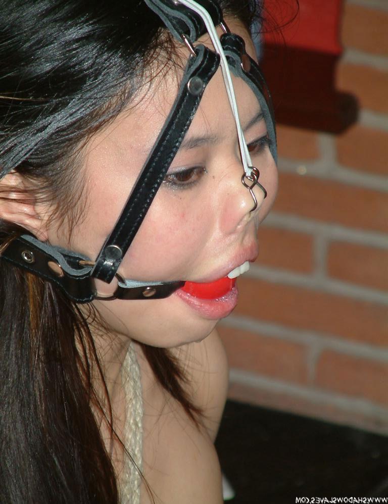 15P Oriental in nose hooks