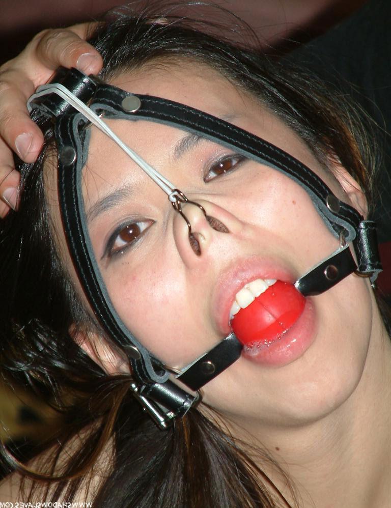 15P Oriental in nose hooks