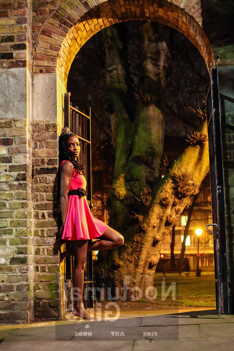 8P A girl is posing nude in the night time outdoor