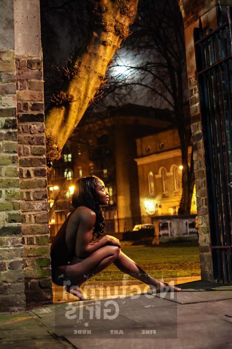 8P A girl is posing nude in the night time outdoor
