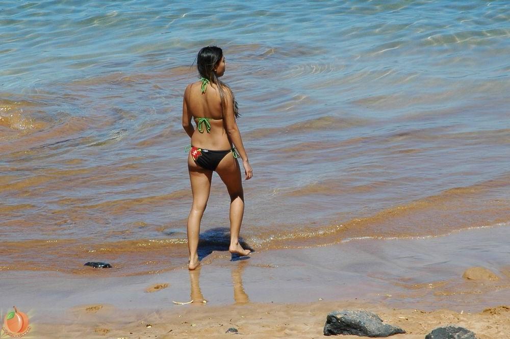 16P Hawaiian Beach Babes