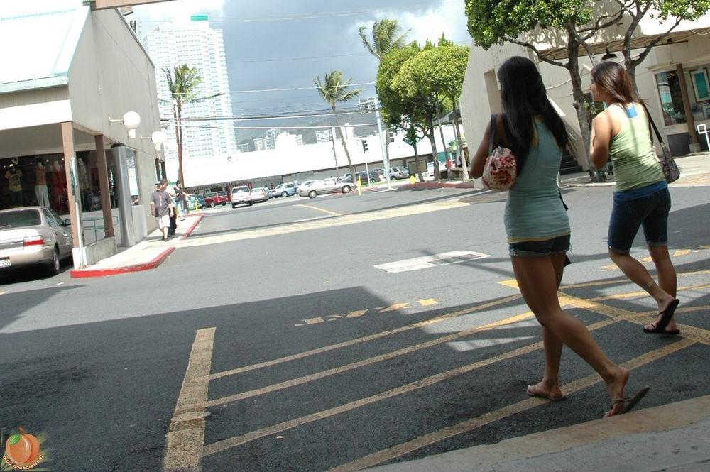 16P Hawaiian Beach Babes