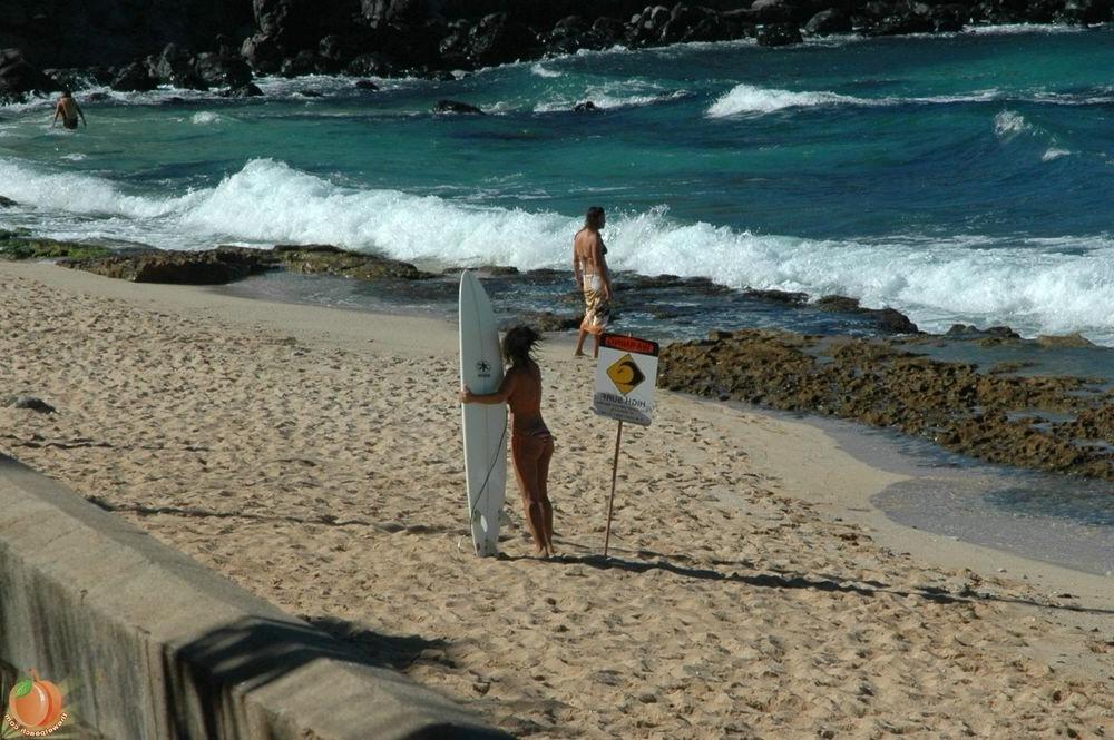 16P Hawaiian Beach Babes