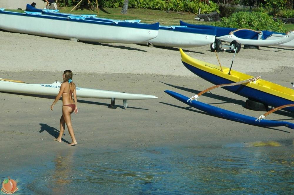 16P Hawaiian Beach Babes