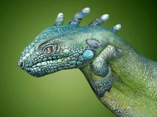 25P ANIMAL HAND - PAINTING