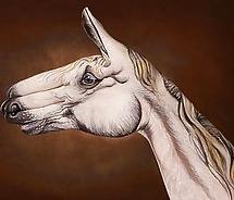25P ANIMAL HAND - PAINTING