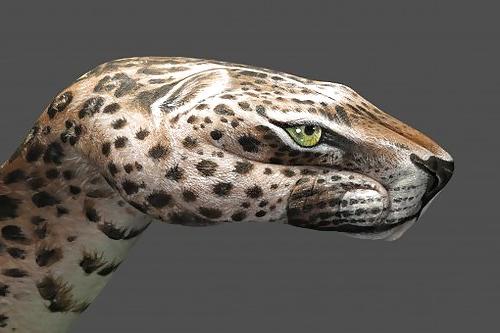 25P ANIMAL HAND - PAINTING