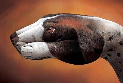 25P ANIMAL HAND - PAINTING
